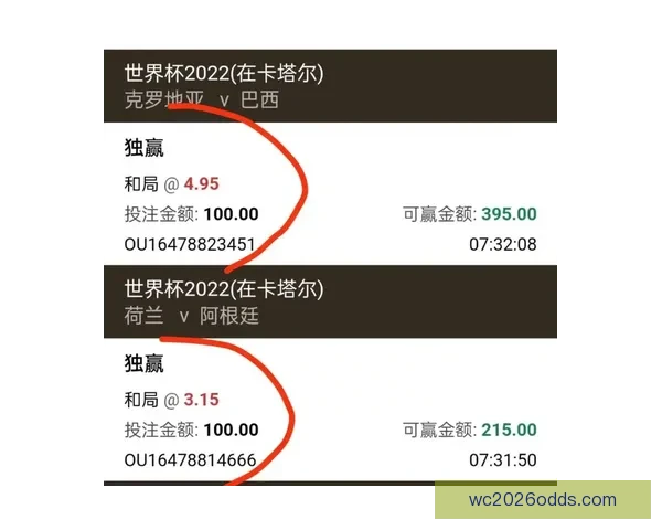 全球热门世界杯竞猜平台推荐与玩法攻略大全解析