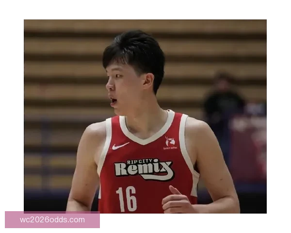 望无大碍 开拓者官方宣布罗威因下背部伤势退出比赛不会回归